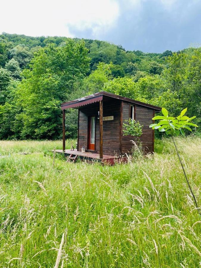 Retreat In Padure 호텔 Buchin 외부 사진
