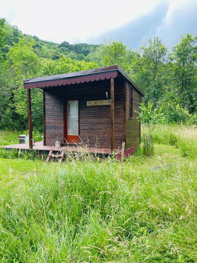 Retreat In Padure 호텔 Buchin 외부 사진