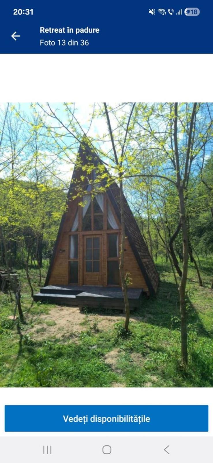 Retreat In Padure 호텔 Buchin 외부 사진